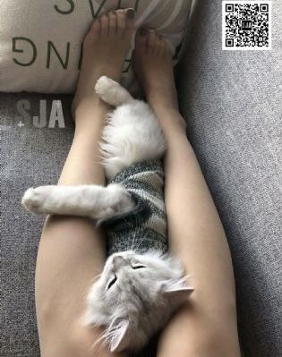 欧美后仰式深喉_国产剧在线播放观看